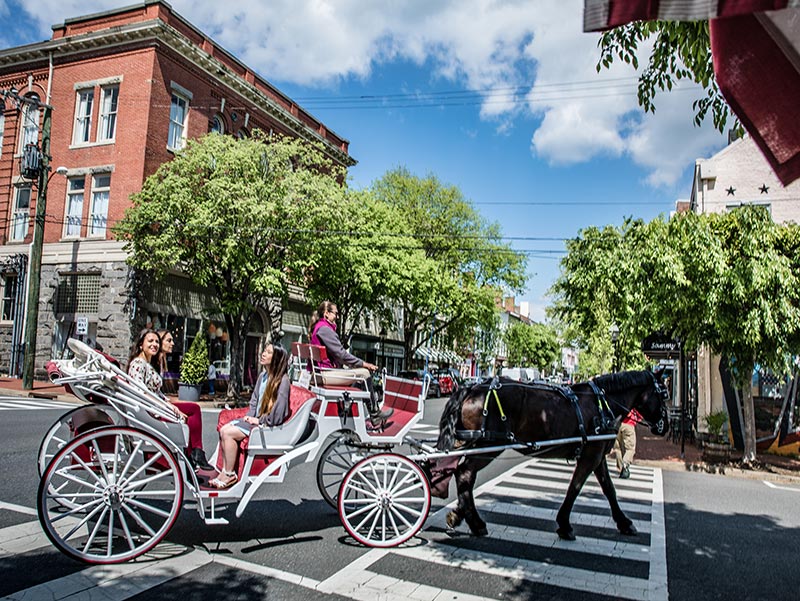 Fredericksburg's Olde Towne Carriage tour in downtown Fredericksburg