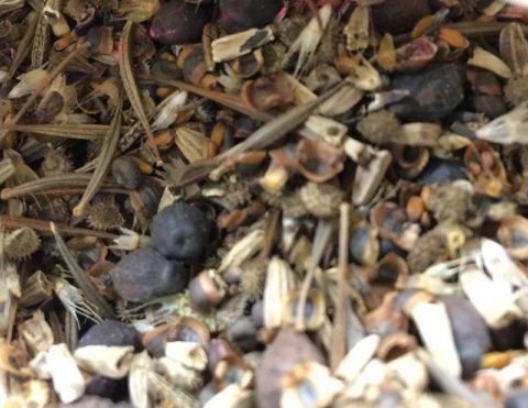loose tea and spice blend from Pa Dutch Tea and Spice Company