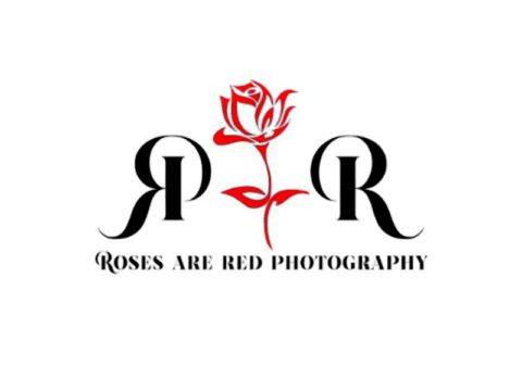 Rose are Red Photography