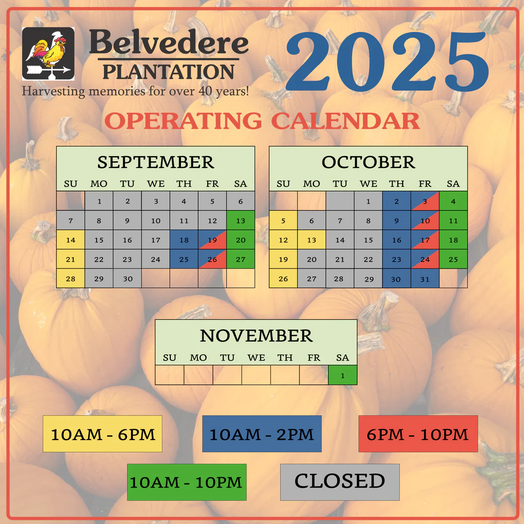 Calendar with pumpkins in the background.