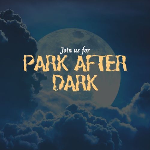 Park After Dark Flyer