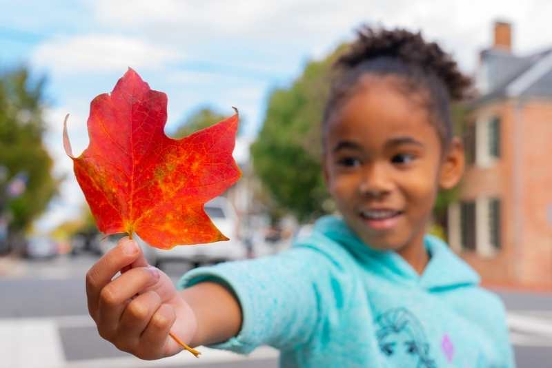 little girl holding a red fall leaf up to the camera