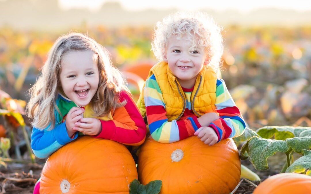 Fredericksburg Farm Fun