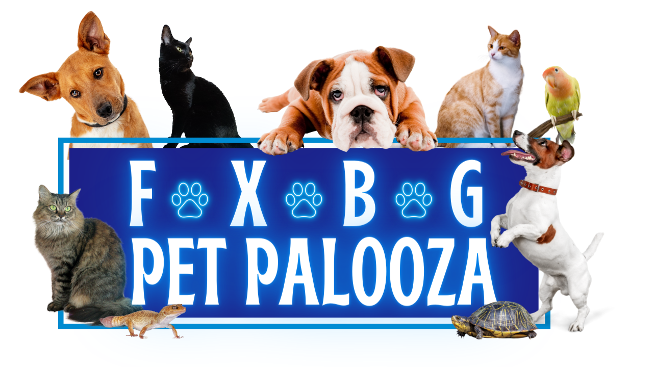 pet palooza logo surrounded by dogs, cates and birds