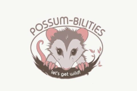 possum looking at you