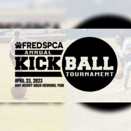 SPCA Kickball Flyer