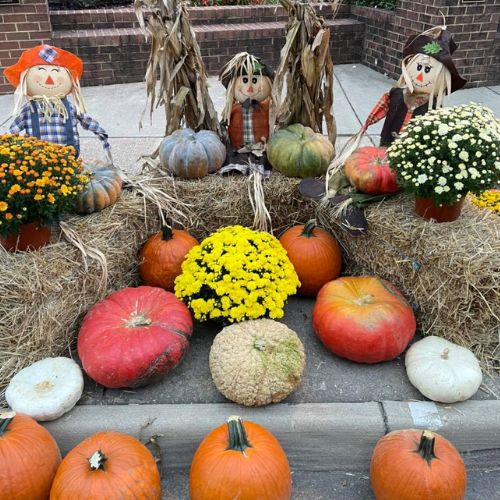 Scarecrows and Pumpkins