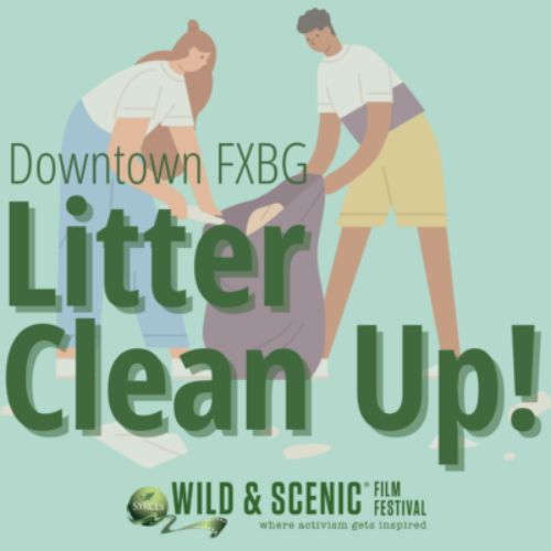 Downtown Litter Cleanup Flyer