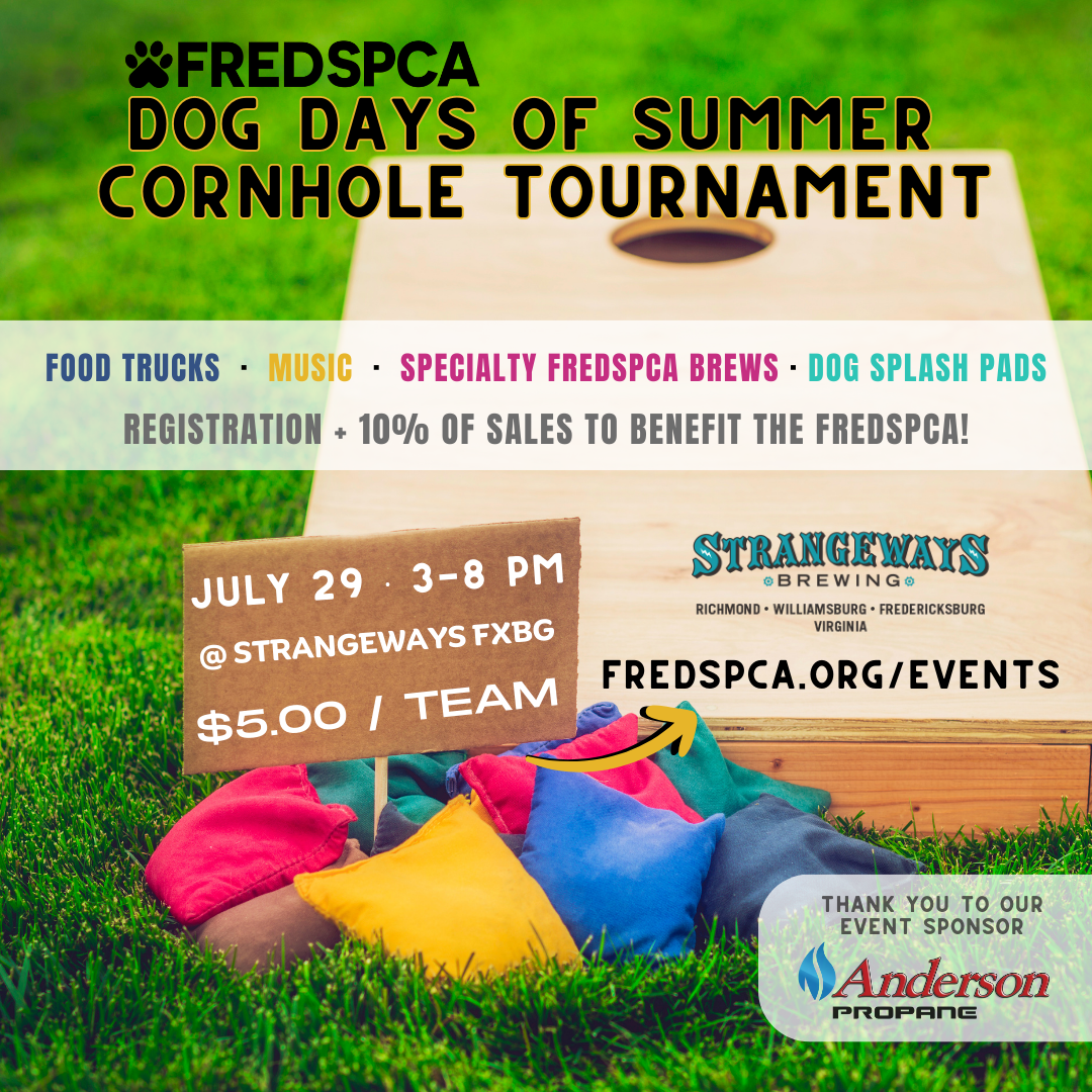 Fred Spca dog days of summer cornhole tournament
