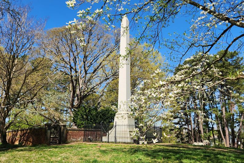 mary washinton monument in the middle with a white dogwood tree branches in front of it. spring time