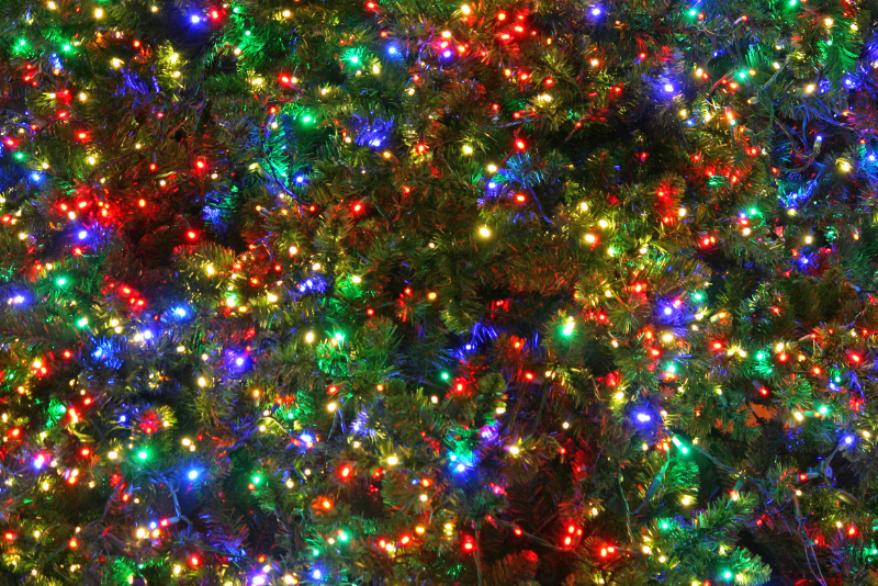 close up tree branches with lots many multi-colored Christmas lights shining in green, red, white and blue.