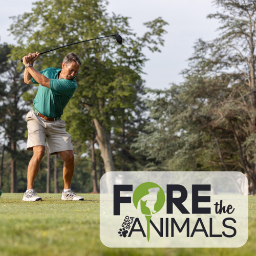 FORE the Animals