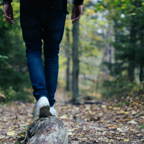 Person walking on a log laying on the ground in the woods. Ground covered with leaves