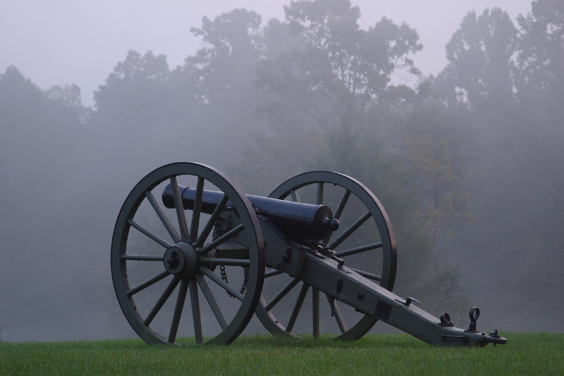 cannon pointing to the left. sitting on green grass and tree in a foggy background