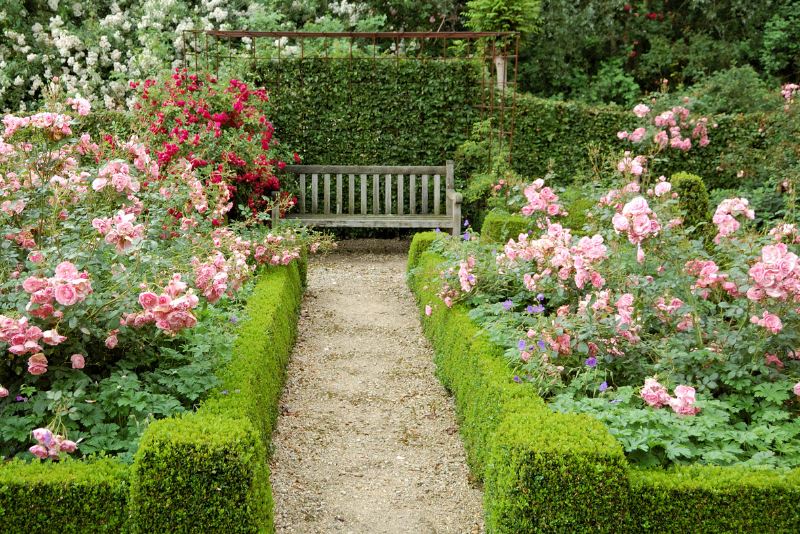 Garden with tulips in front of home