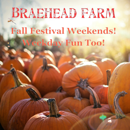 Braehead Farm Fall Festival Weekends