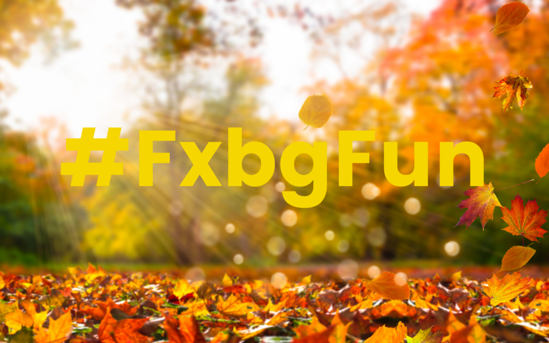 Don’t Miss These October Events in Fredericksburg