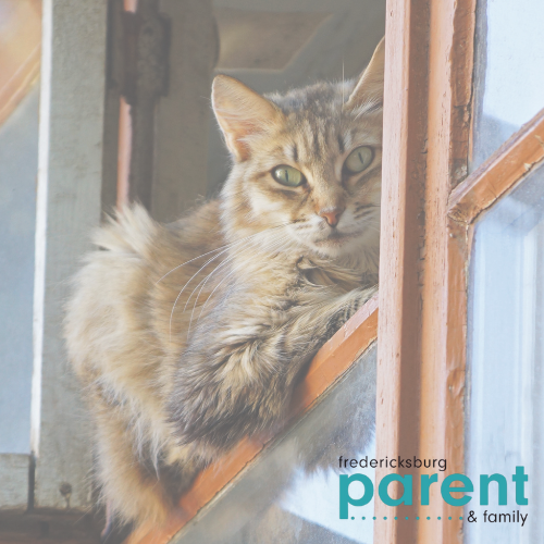 Cat peeking out of a window with fredparent logo in bottom right corner