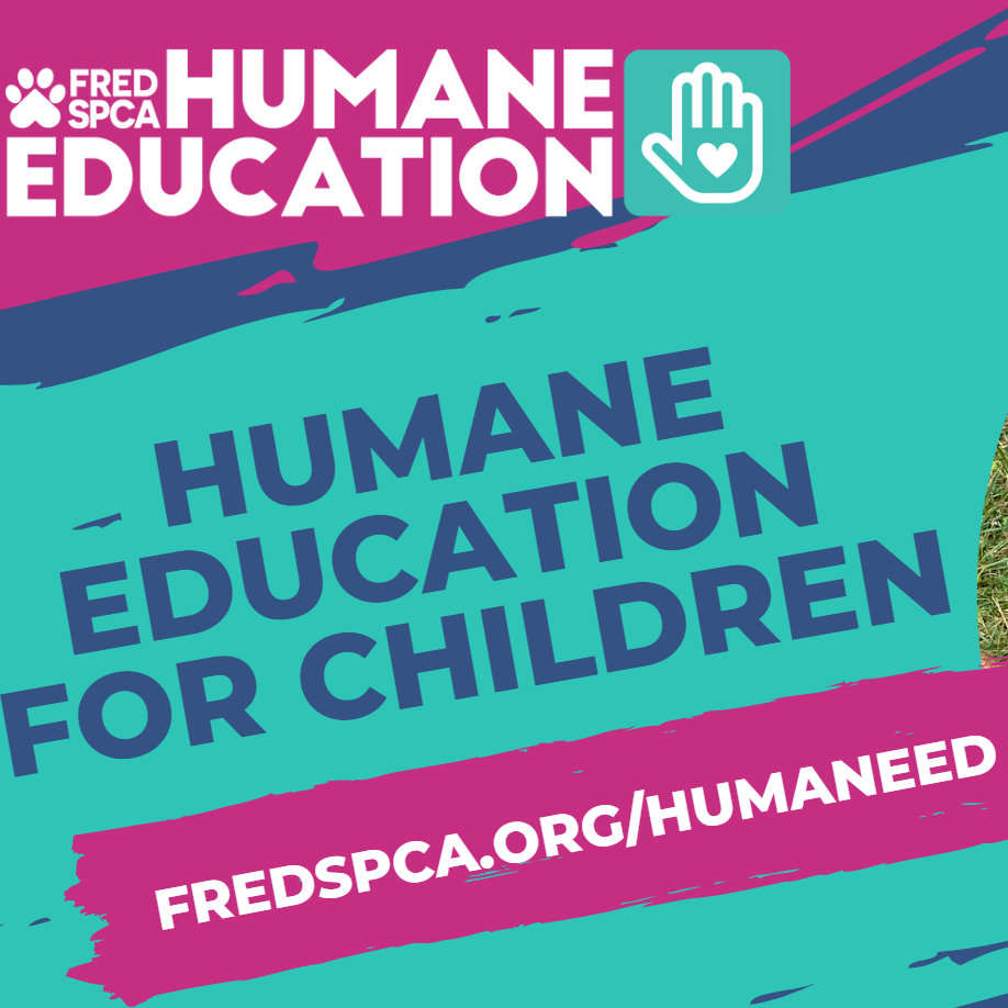 Humane education for children text.