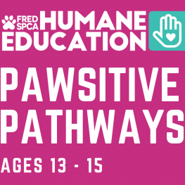 Pawsitive pathways informational text.