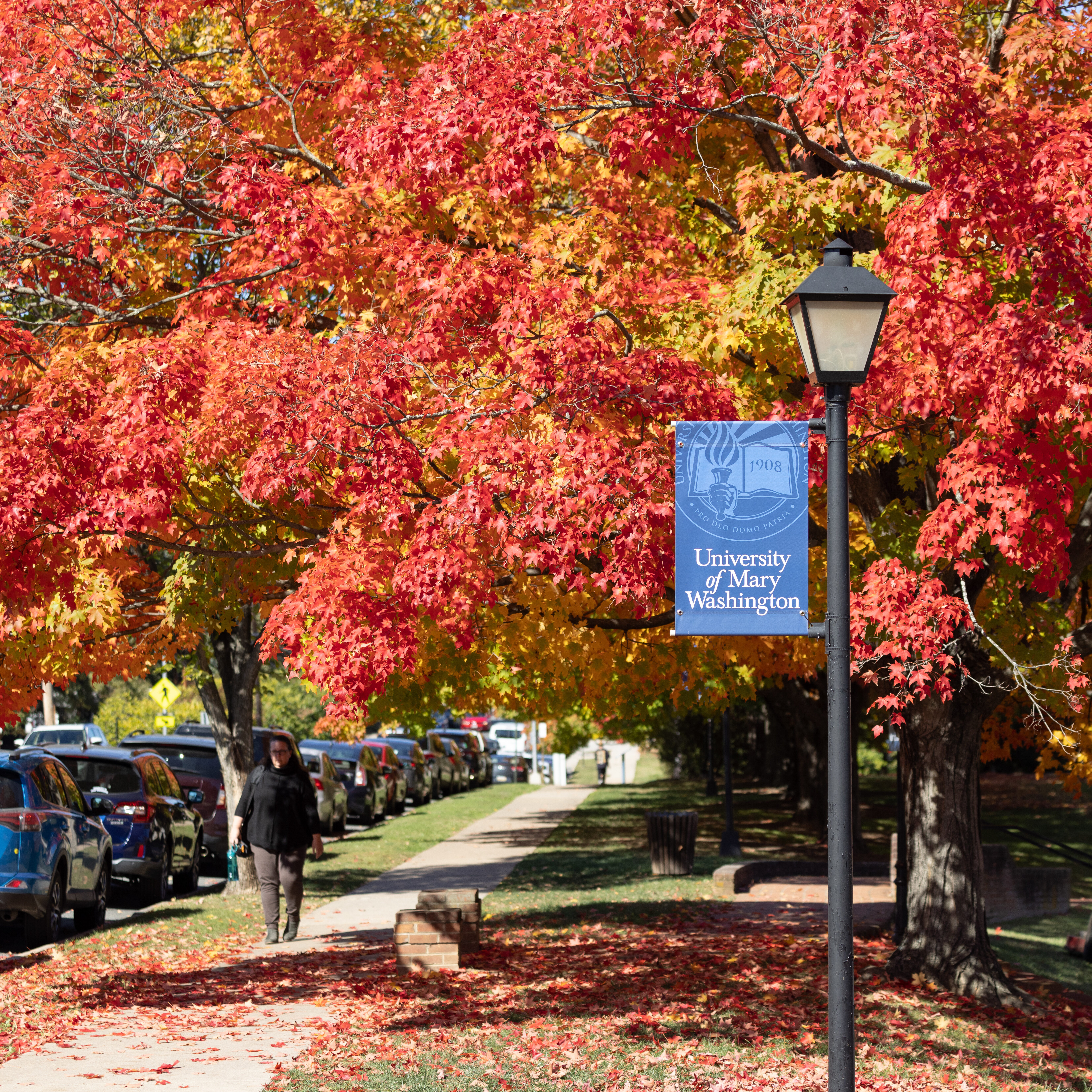 UMW campus with a flag hanging and someone walking on the sidewalk surrounded by red fall leaves.