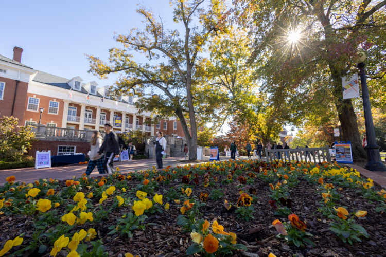 Fall on the University of Mary Washington Campus. Students walking on a sidewalk in front of a building. Orange and Yellow flowers at the foreground.