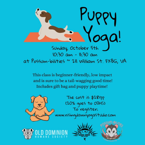 Photo of a cartoon dog doing yoga on a yoga mat. Event information text and sponsoring business logos pictured.
