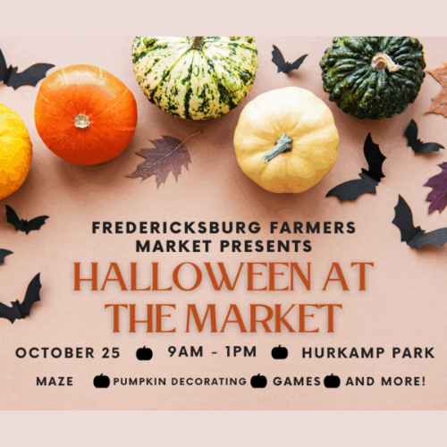 Mini pumpkins, fall leaves, and bats on a tan background.