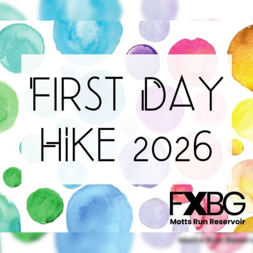 First Day Hike