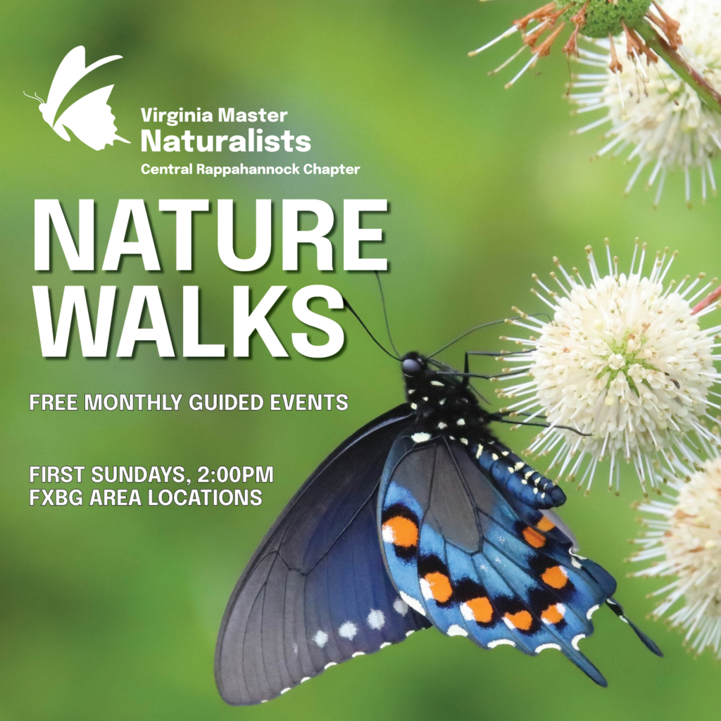 Monthly Guided Nature Walk