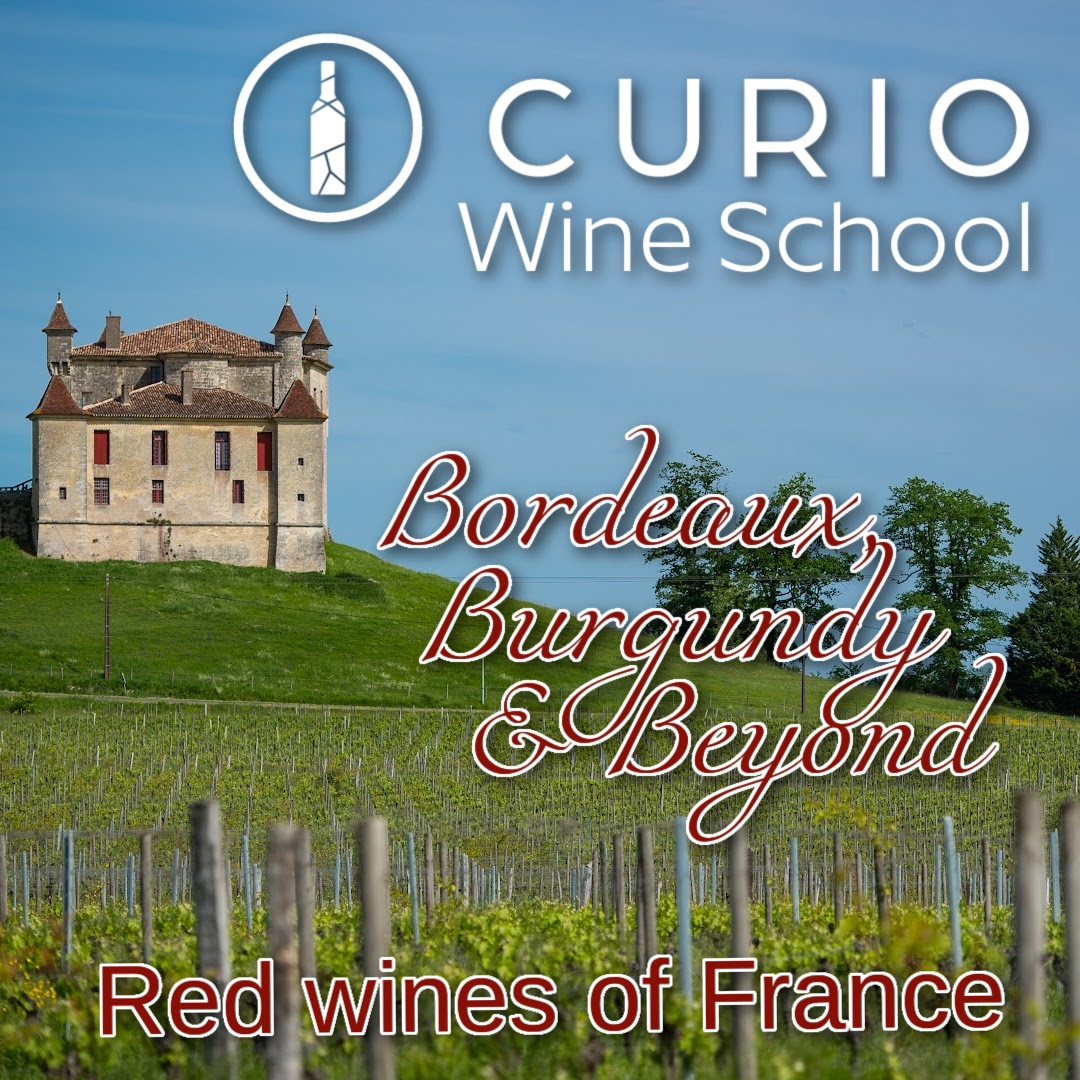 Curio Wine School. Old House on the hill with grape vines in front