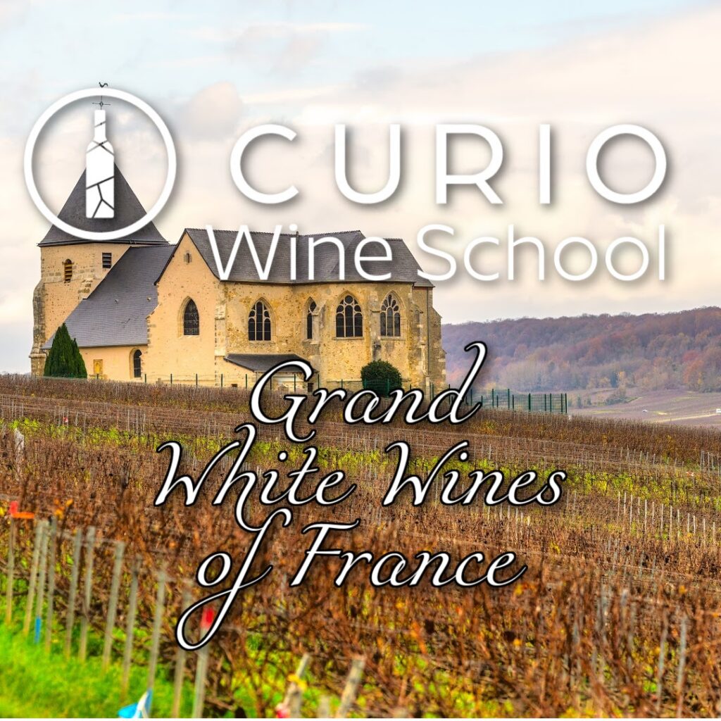 Curio Wine School: Grand White Wines of France
