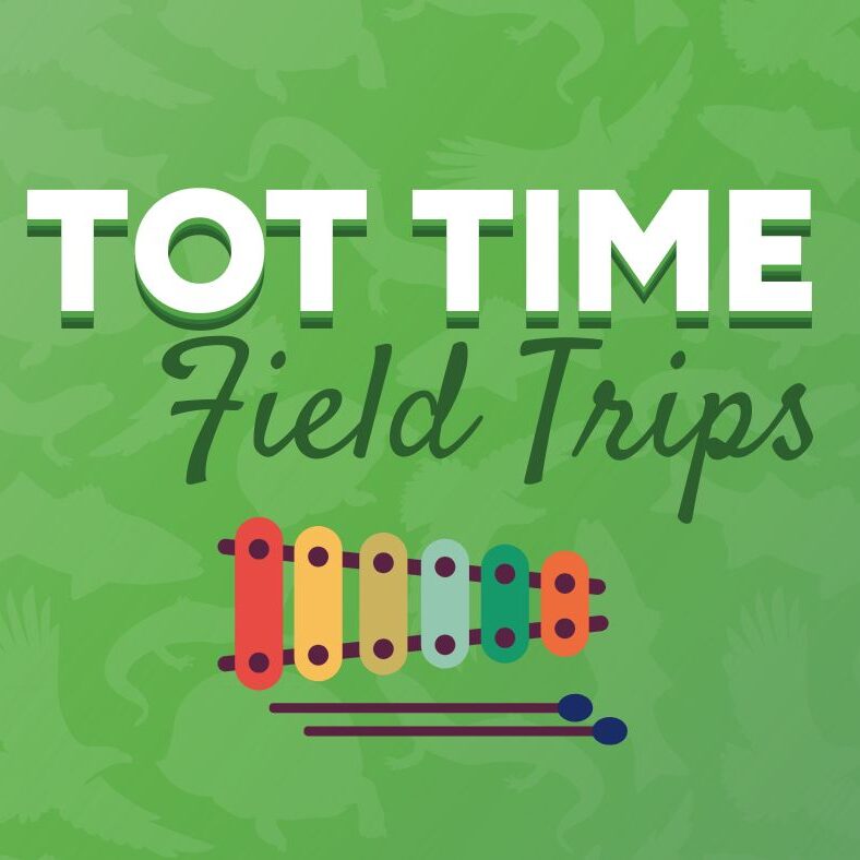 Tot Time Field Trip: Music & Movement Day