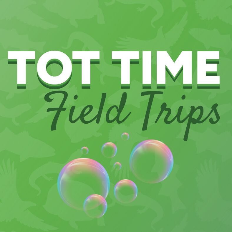 Tot time field trips bubbles