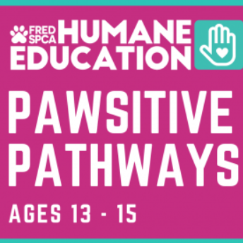 Pawsitive Pathways – Spring into Shelter Careers
