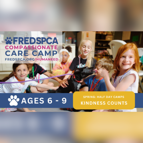 Compassionate Care Camp: Kindness Counts, Ages 6-9