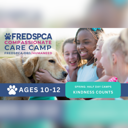 Compassionate Care Camp: Kindness Counts, Ages 10-12