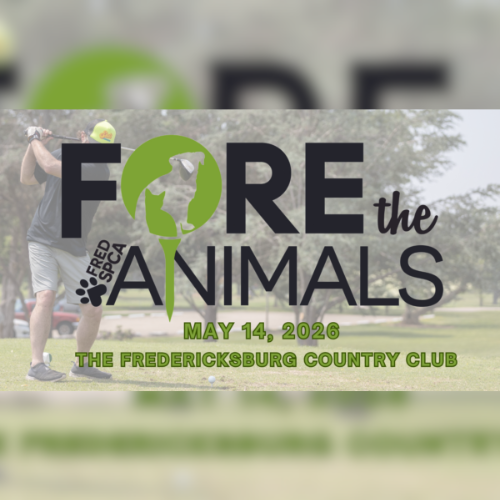 Event poster for "Fore the Animals" golf tournament on May 14, 2026, at The Fredericksburg Country Club, benefiting Fred SPCA.