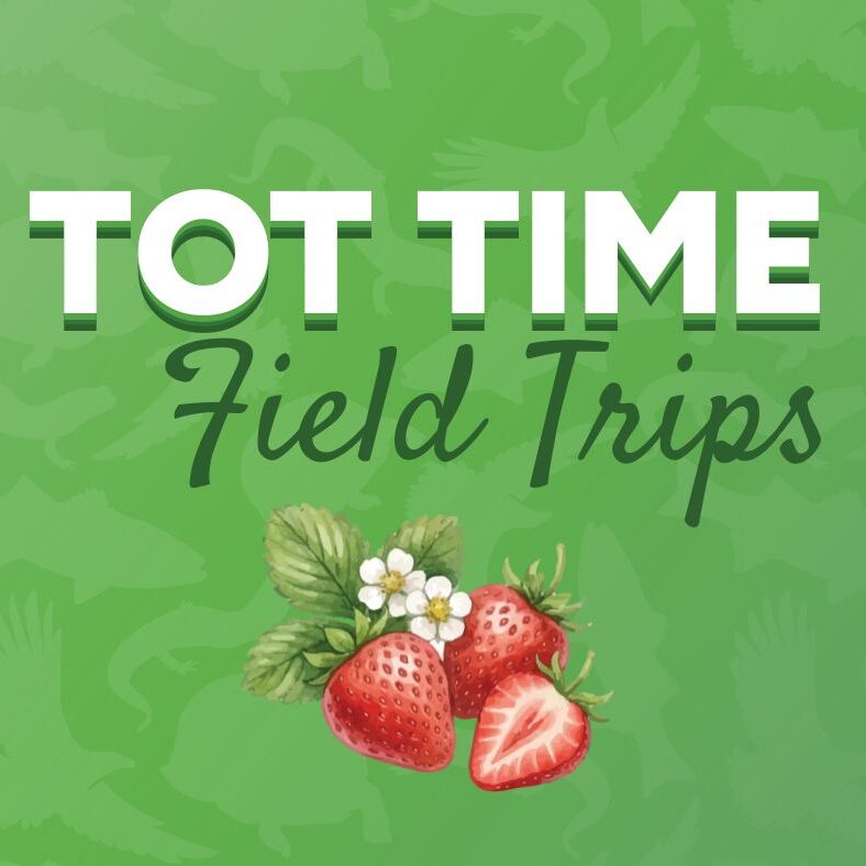 Tot time field trips with strawberries