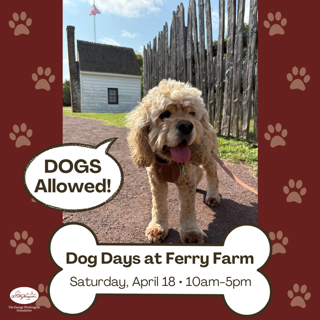 Photo of a dog at ferry farm with "Dogs allowed" text in a speech bubble".
