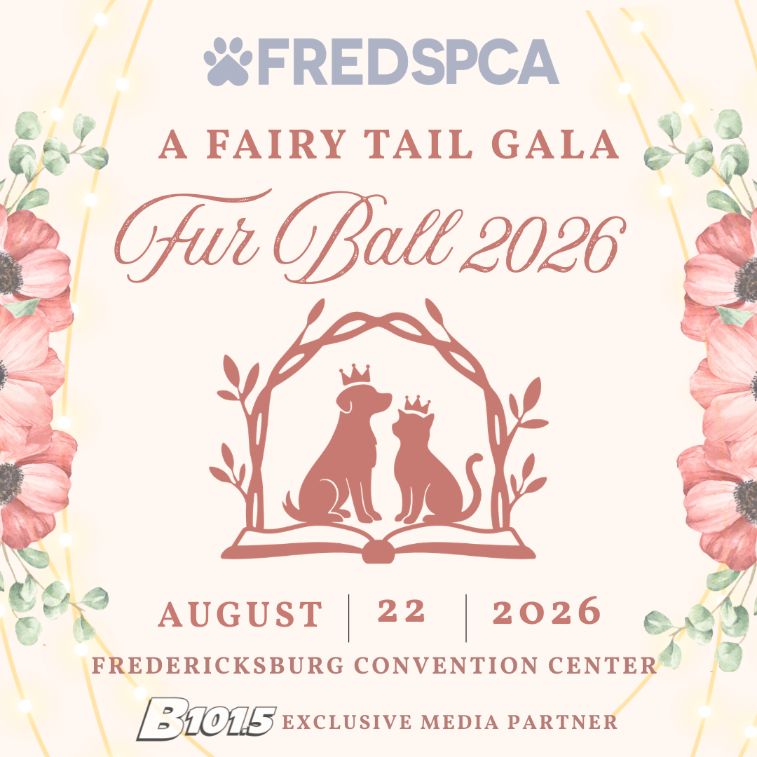 FredSPCA Fur Ball Gala flyer with pastel floral theming and a Bridgerton-style archway in the middle with a dog and cat.