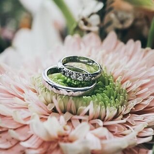 Two silver wedding bands on a pink flower.