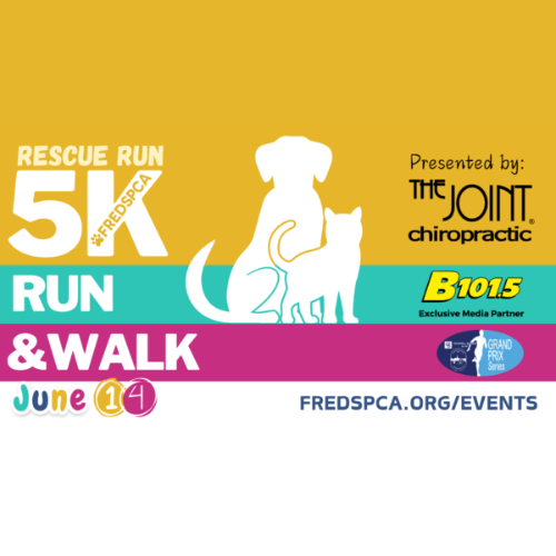 Rescue Run 5K Run & Walk on June 14, presented by The Joint Chiropractic and B101.5, with a website FREDSPCA.ORG/EVENTS.