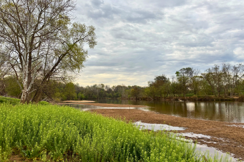 A wide river flows under a cloudy sky, with lush green vegetation in the foreground and trees lining the banks.  