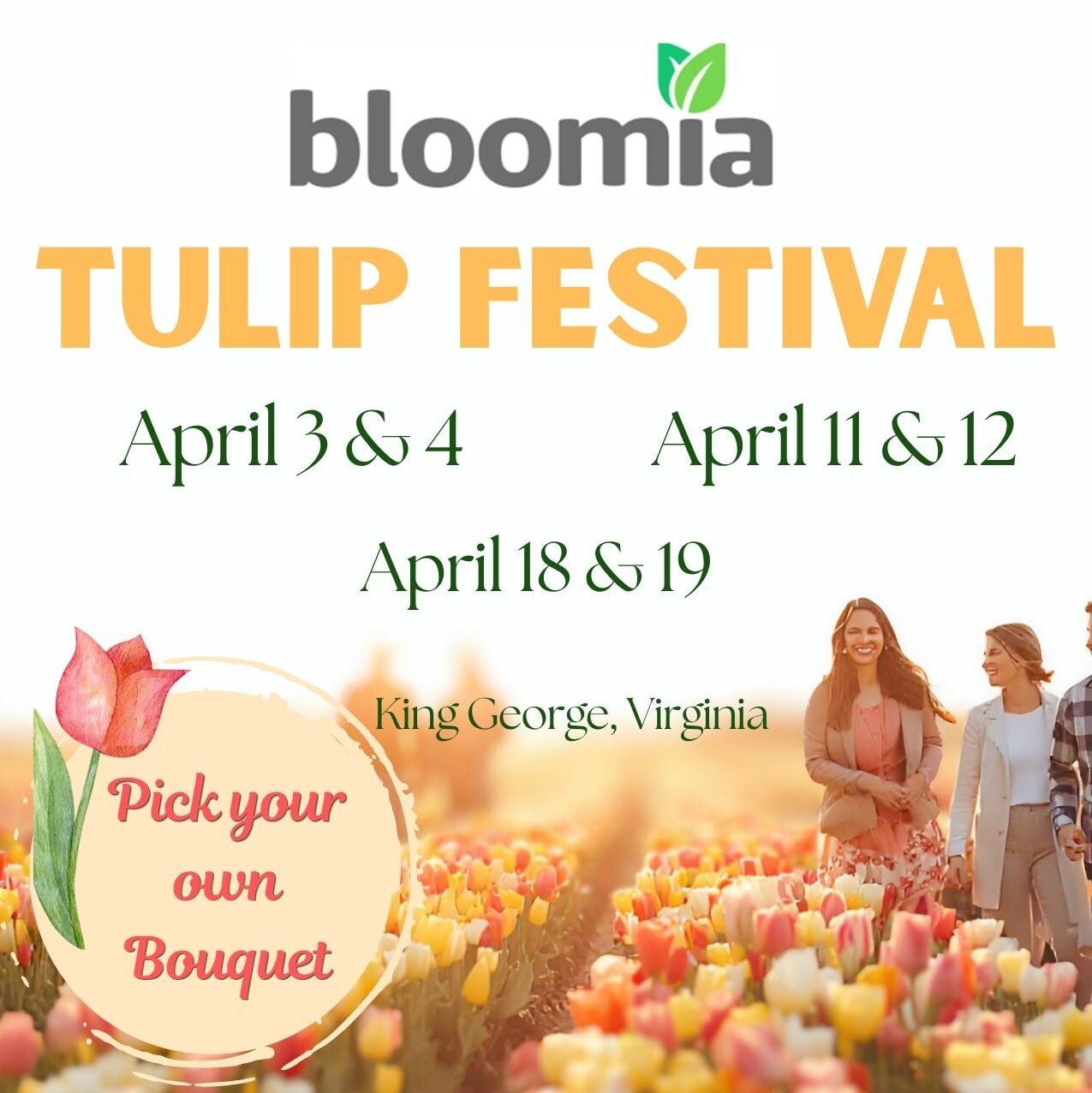 Bloomia tulip festival flyer with the bloomia logo and a photo of a couple in a tulip field.