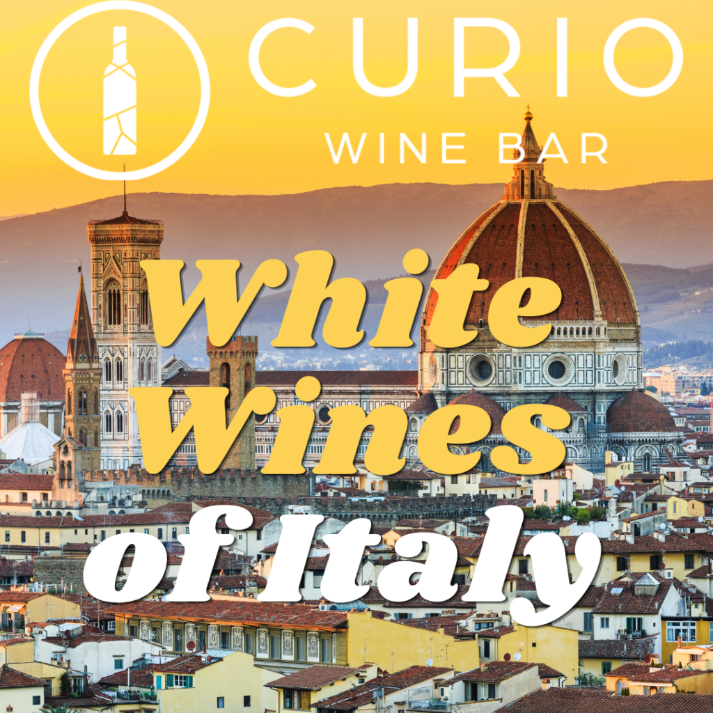 Curio Wine School: White Wines of Italy