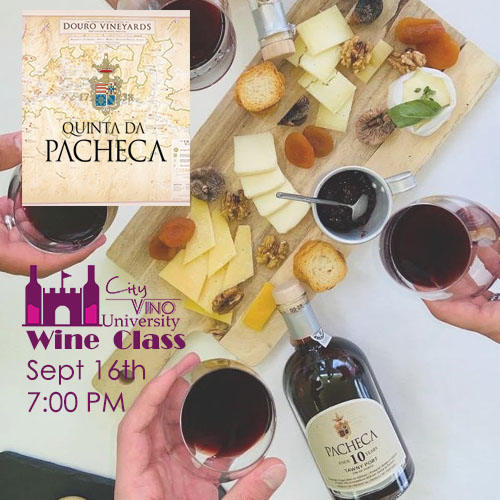 Pacheca Port Wine Class at City Vino