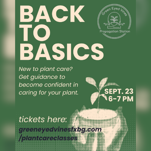 Green promotional event flyer showing a translucent hand holding a translucent potted plant.