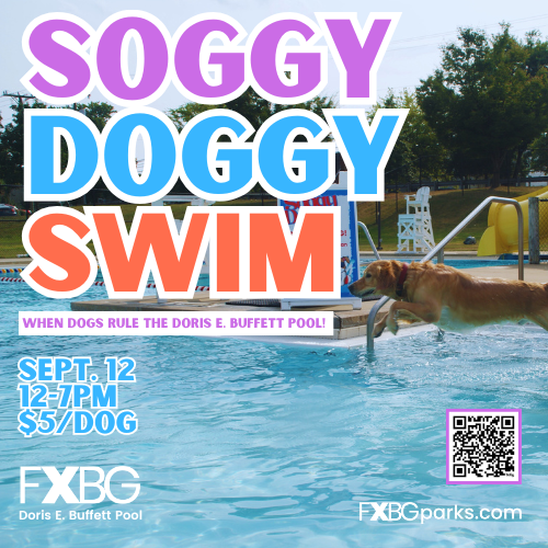 Soggy Doggy Swim