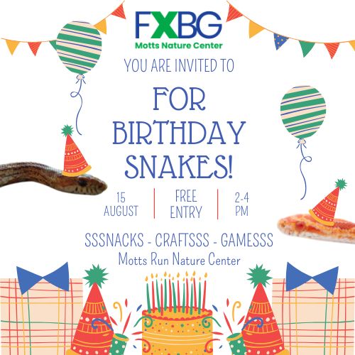 For Birthday Snakes